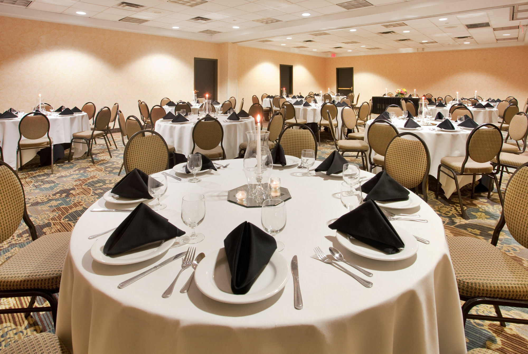 קנזס סיטי Holiday Inn Country Club Plaza מראה חיצוני תמונה